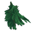 Plant_Leaves_Fir