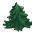 Plant_Leaves_Fir_Tip