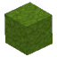 Plant_Moss_Block_Green