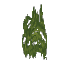 Plant_Moss_Cave_Green_Dark