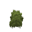 Plant_Moss_Green_Dark