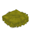 Plant_Moss_Rug_Yellow