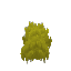 Plant_Moss_Yellow