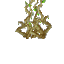 Plant_Roots_Cave