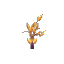 Amber Sapling