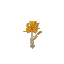 Aspen Sapling