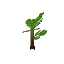 Plant_Sapling_Oak