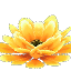 Prototype - Giant Yellow Cactus Flower