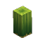 Prototype - Cactus Tall Base
