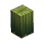 Prototype - Cactus Tall Thick Base