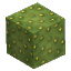 Prototype_Cactus_Two