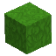 Lush Full Grass