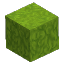 Sunny Full Grass