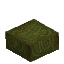 Jungle Log - Half Slab