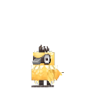 Desert Chick