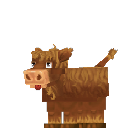Calf