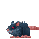 Edible_Rat