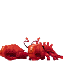 Lobster