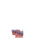 Wild Piglet
