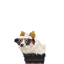 Ram Lamb