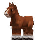 Tamed_Horse