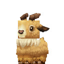 Tamed_Mouflon_Lamb