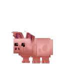 Tamed_Pig