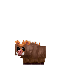 Tamed_Warthog_Piglet