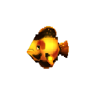 Lemon Peel Tang