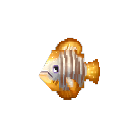 Sailfin Tang