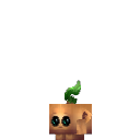Temple_Kweebec_Seedling