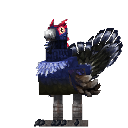 Tetrabird