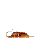 Trilobite