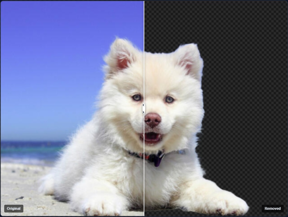 Background Removal — Dog