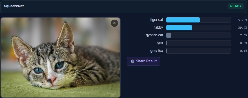 Classification — Cat