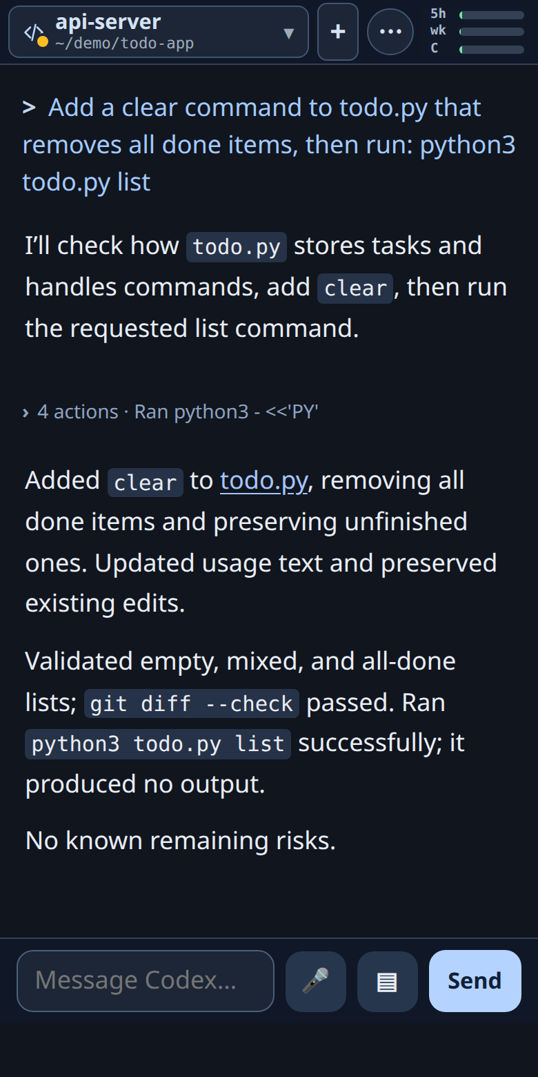 Codex CLI chat