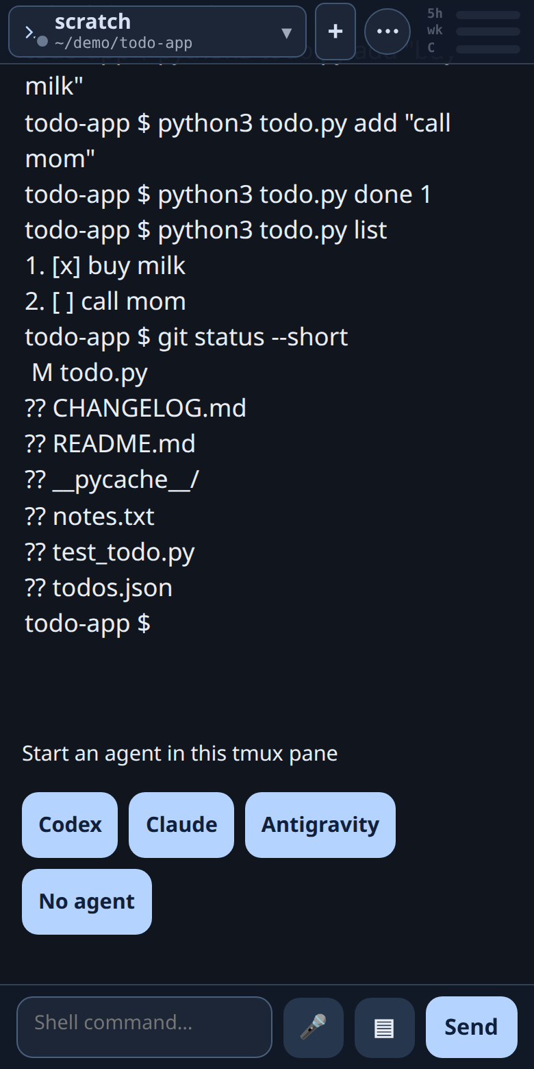 Shell commands run from the phone