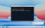 winit on Linux