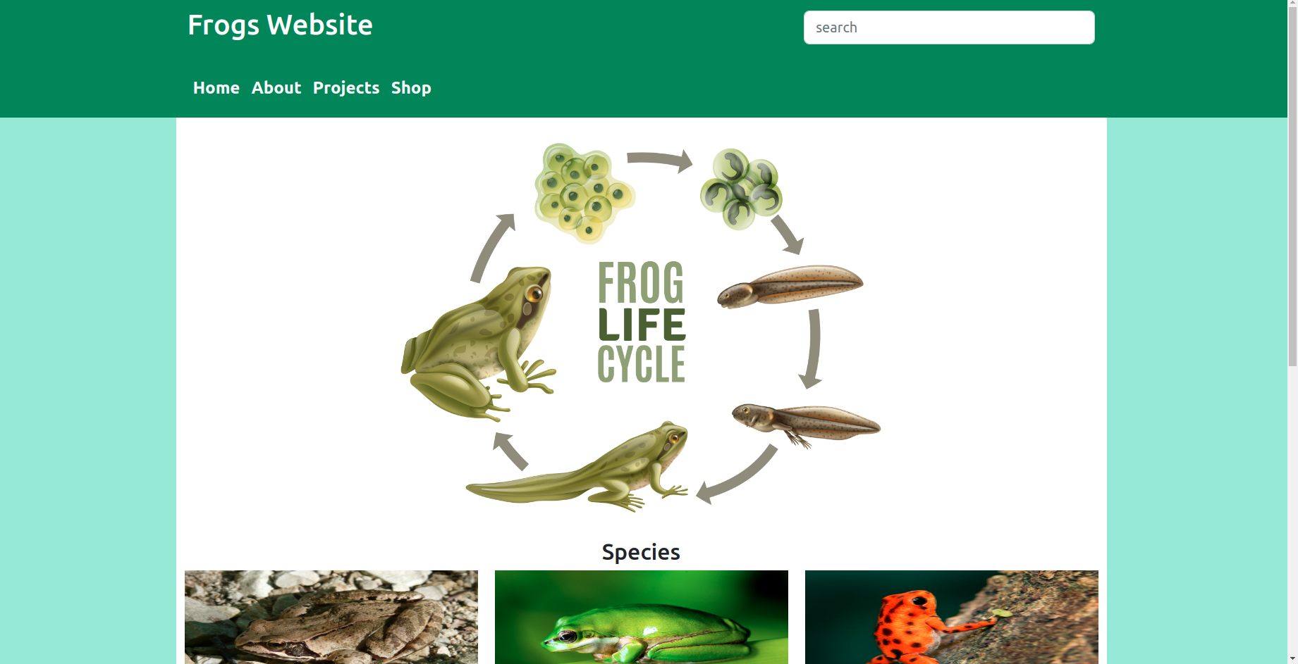 GitHub - LuciaWyn/FrogsBootstrap1Page