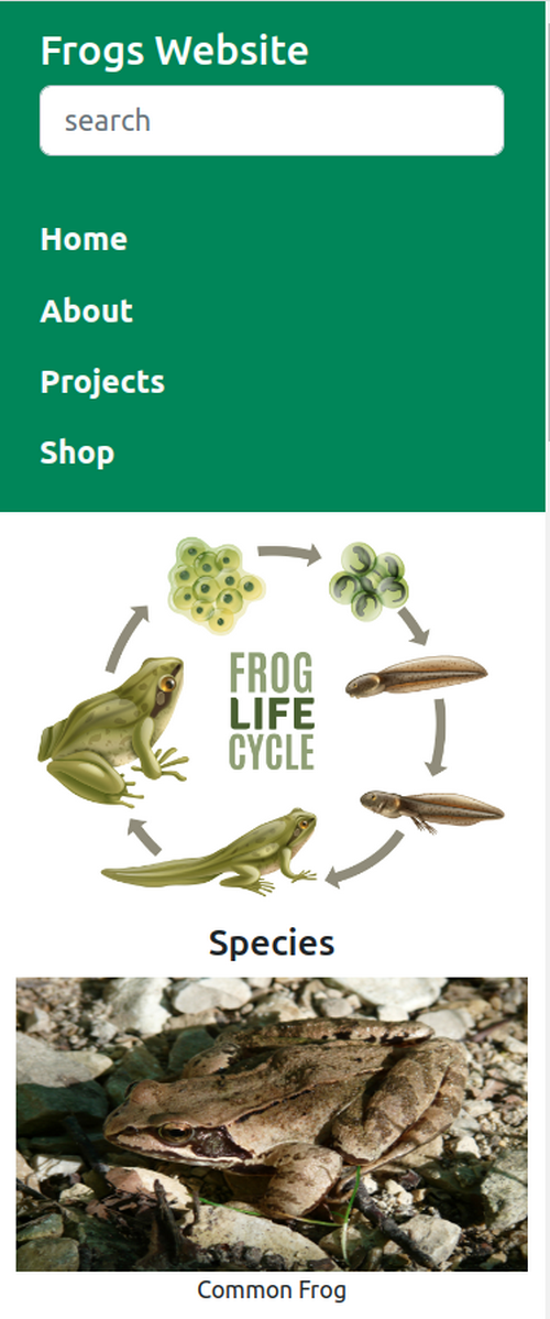 GitHub - LuciaWyn/FrogsBootstrap1Page