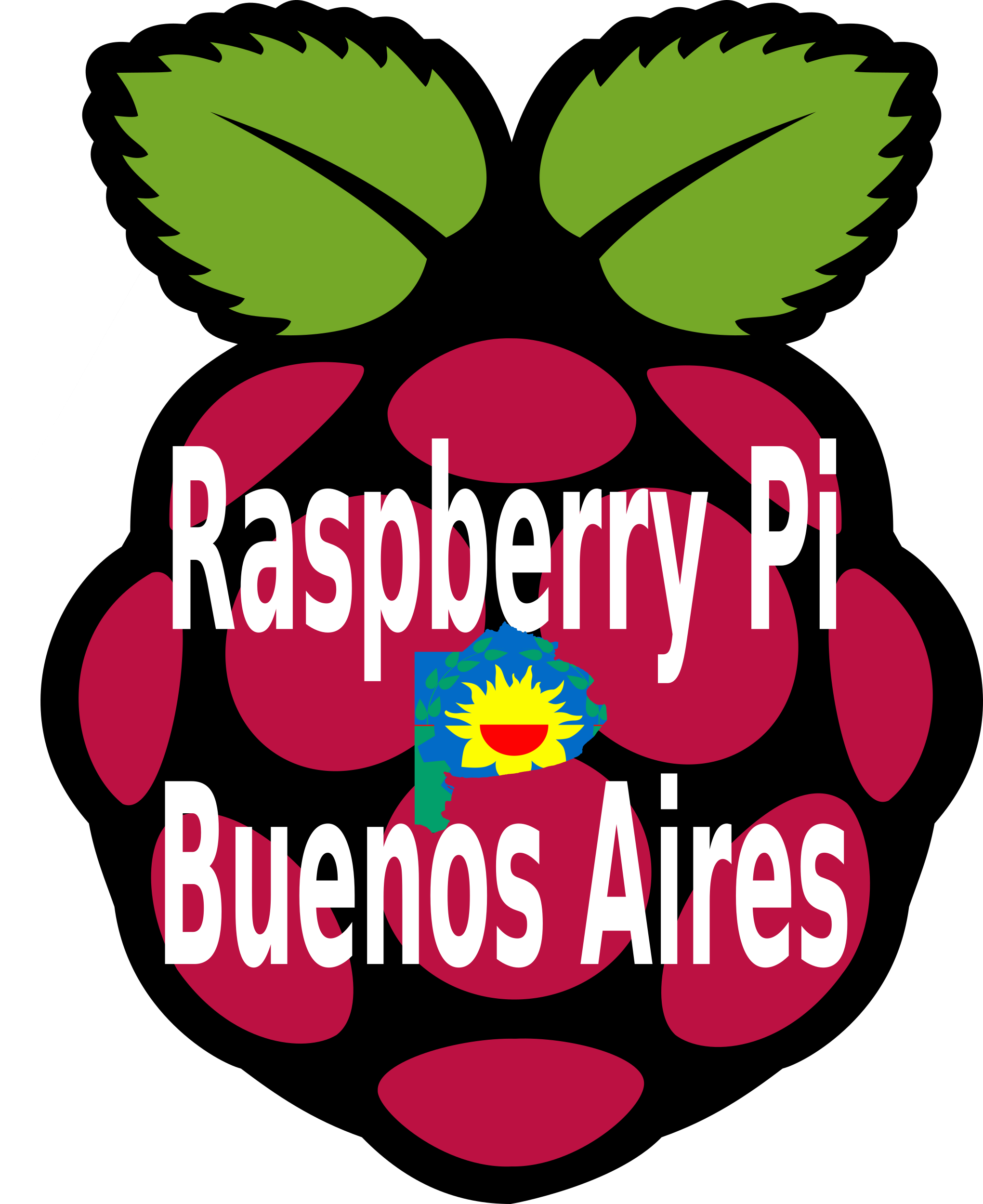 Raspberry Pi Buenos Aires