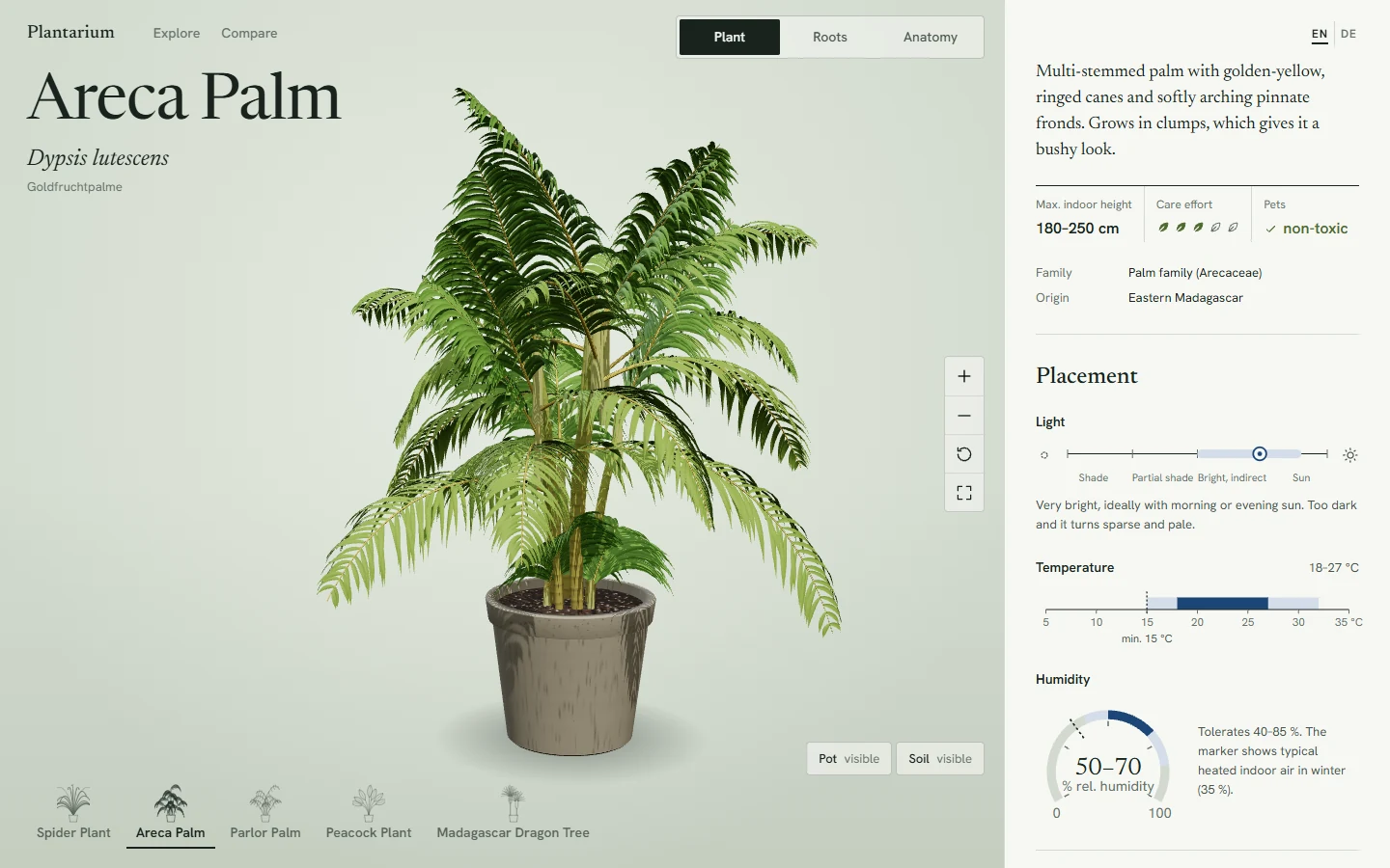 Plantarium showing a procedurally generated Areca palm in its pot