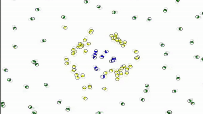 Particles acting as group