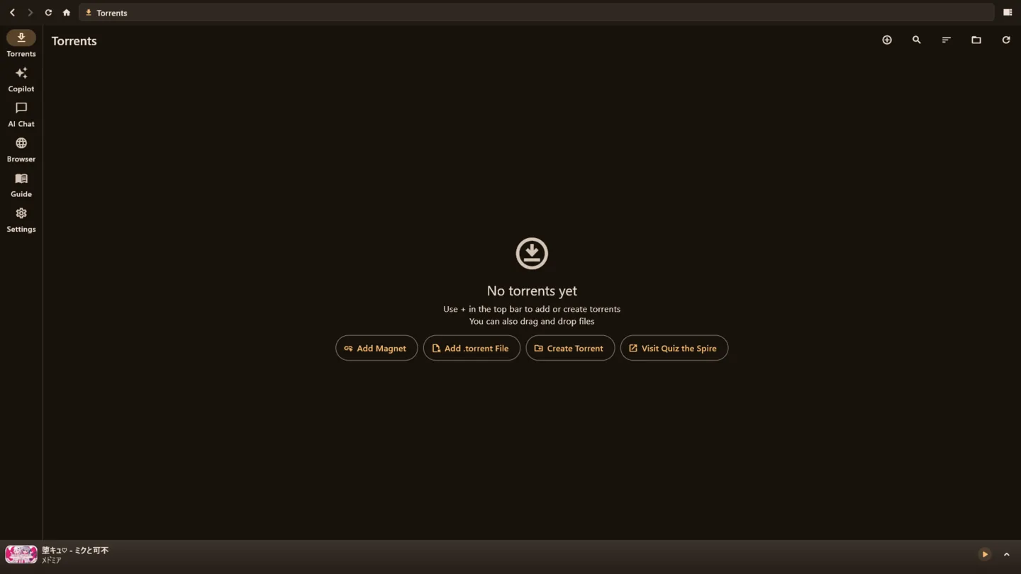 Torrents and Ollama safety checks