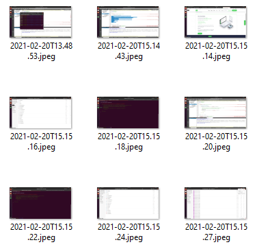 ScreenLogger screenshot files