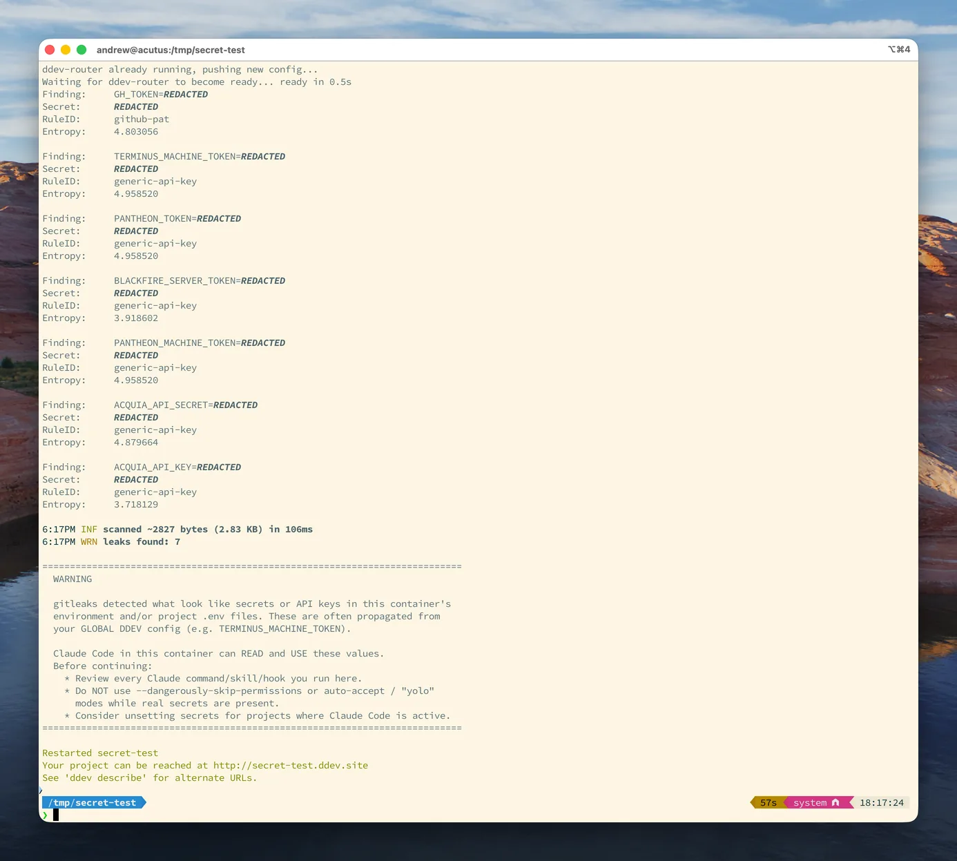 Example gitleaks secret-scan warning printed at the end of ddev start, listing redacted findings followed by the warning banner