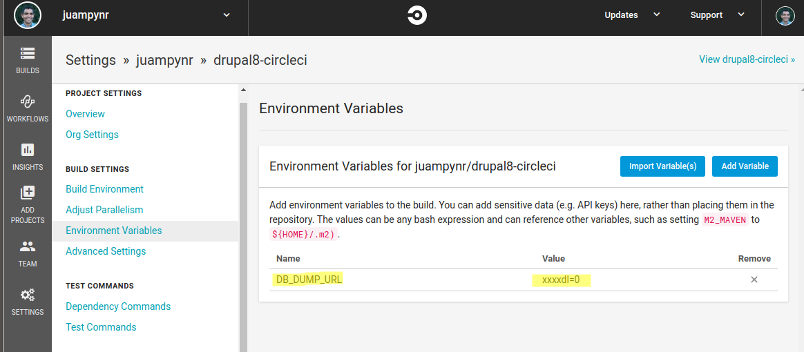 CircleCI database via environment variable