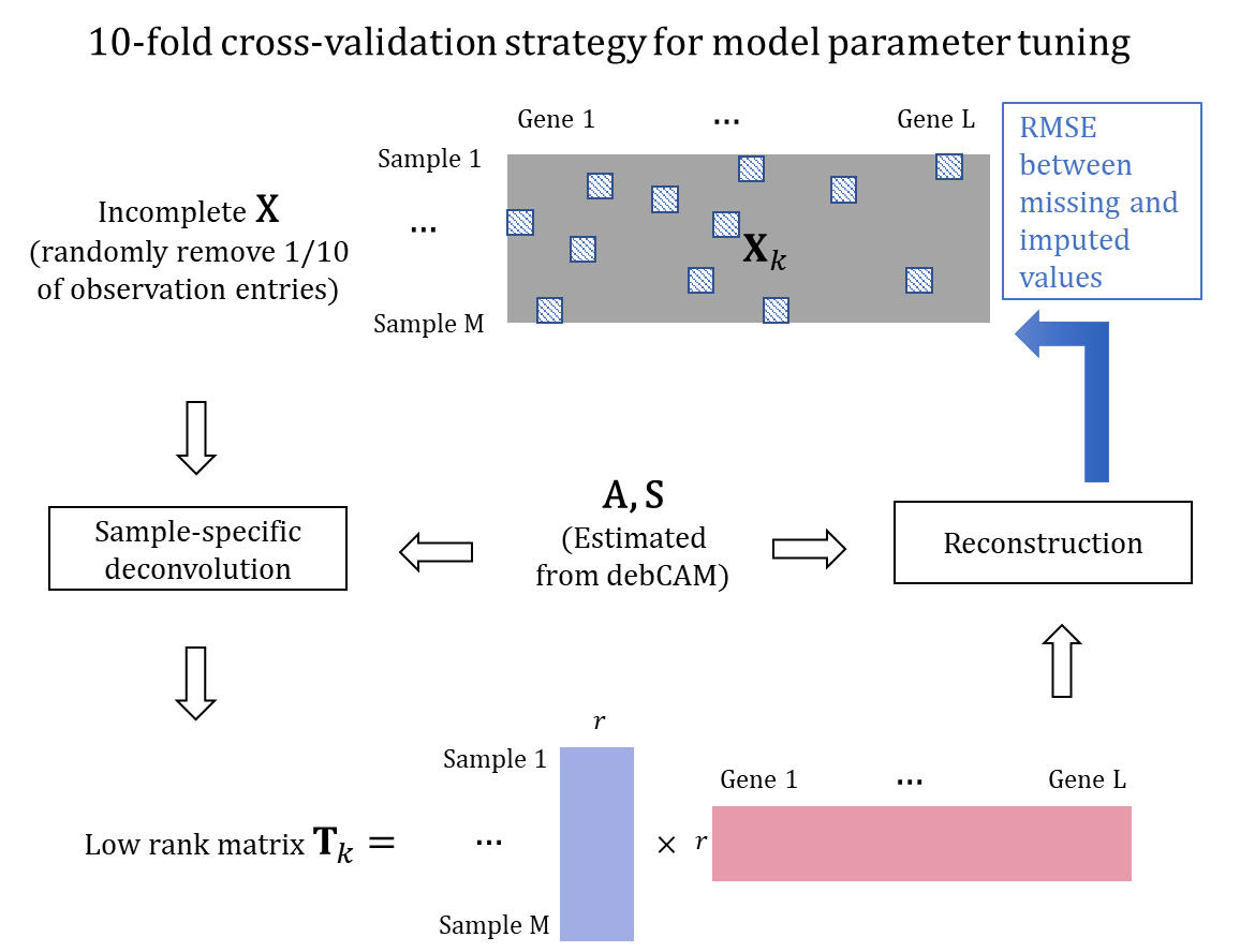 CV strategy