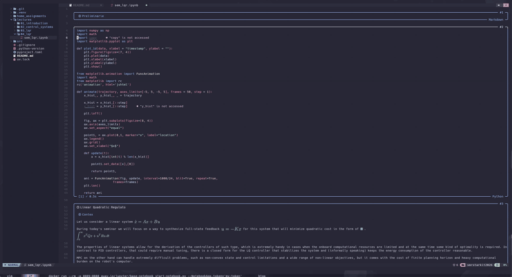 Editing and running a Jupyter notebook with nvjup