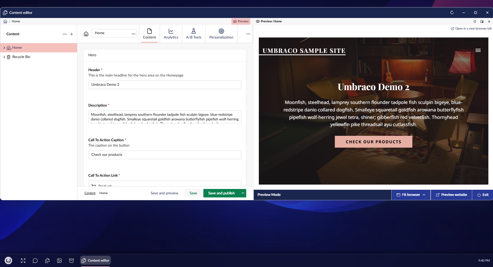 A content editor window with the rendered page docked beside it in the same window, and the Preview button in its path shown as pressed.